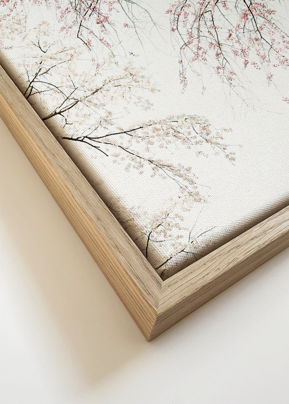 Cherry blossom