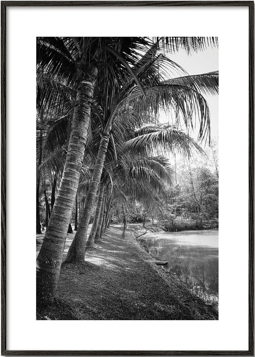 Paisagem vertical de palmeiras em fotografia
