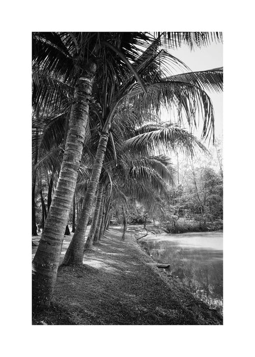 Paisagem vertical de palmeiras em fotografia