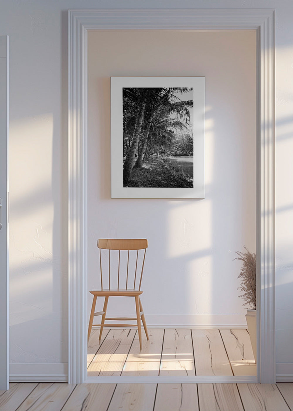 Coastal palm trees