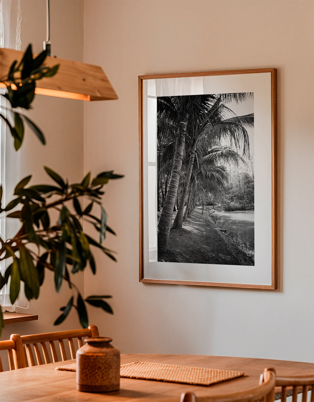 Coastal palm trees