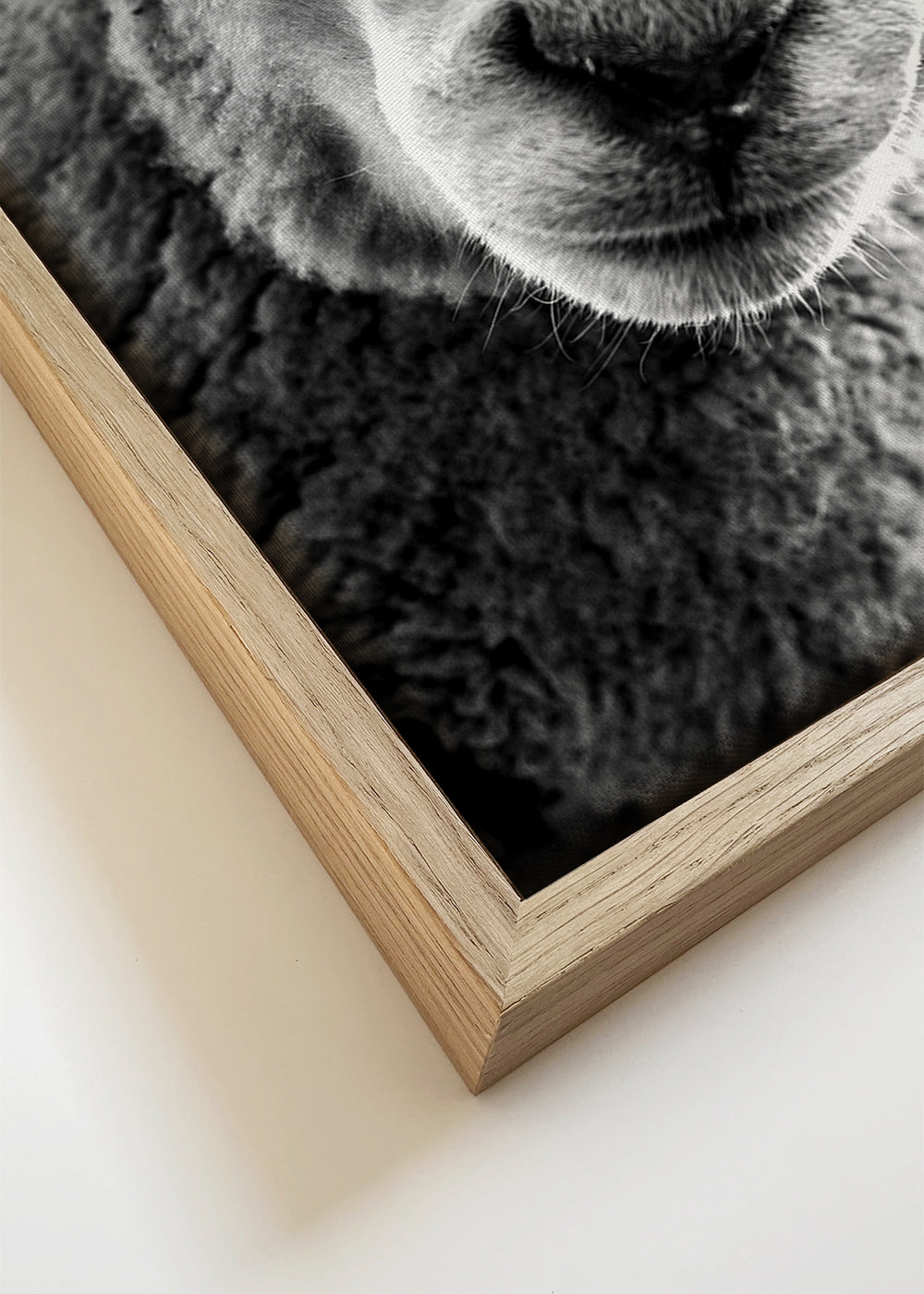 Quadro de ovelha em preto e branco