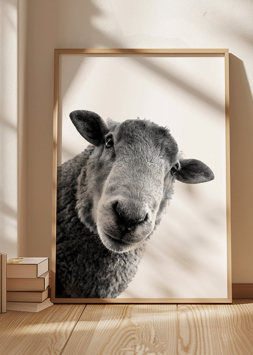 Quadro de ovelha em preto e branco