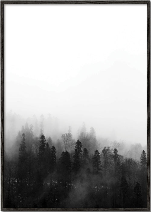 Arte de paisagem floresta nevoada