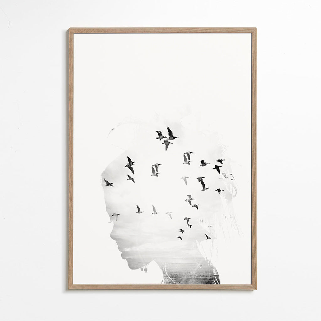 Dreamer