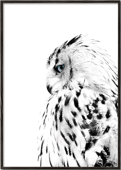 Quadro coruja branca em perfil