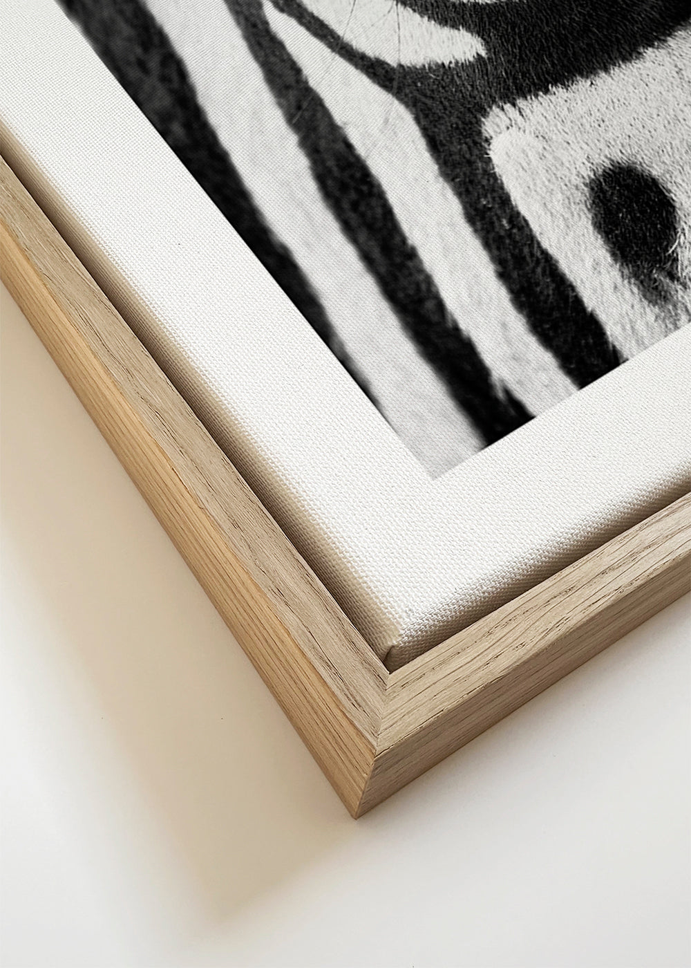 Quadro zebra em close-up
