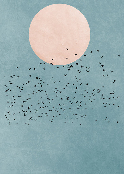 Fly away