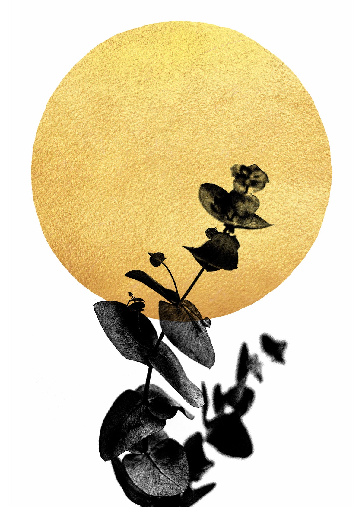 La vie en rose - Unframed art print