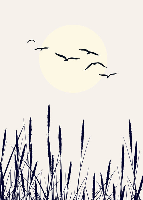 Estampa botânica: juncos ao amanhecer