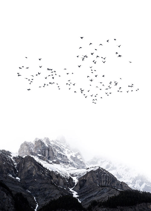 Quadro de paisagem com aves sobre picos nevados