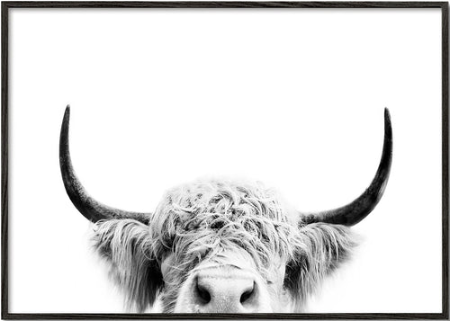 Vaca espreitando em preto e branco