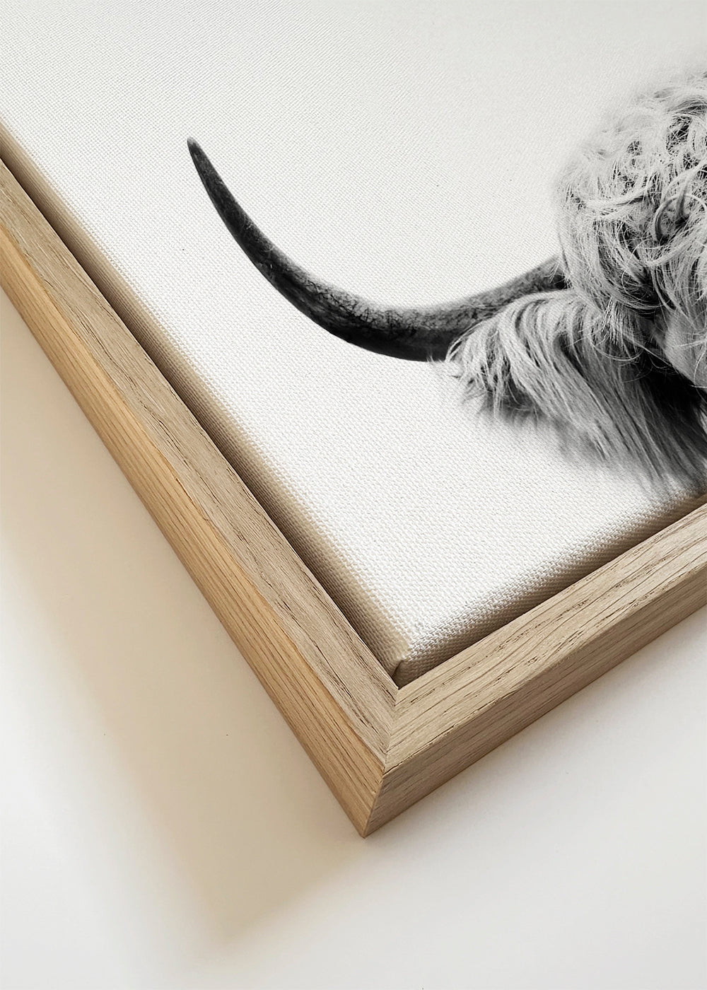 Vaca espreitando em preto e branco