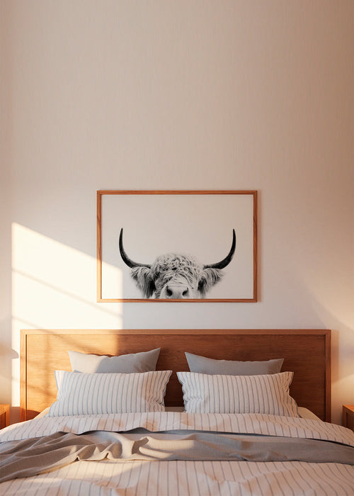 Vaca espreitando em preto e branco