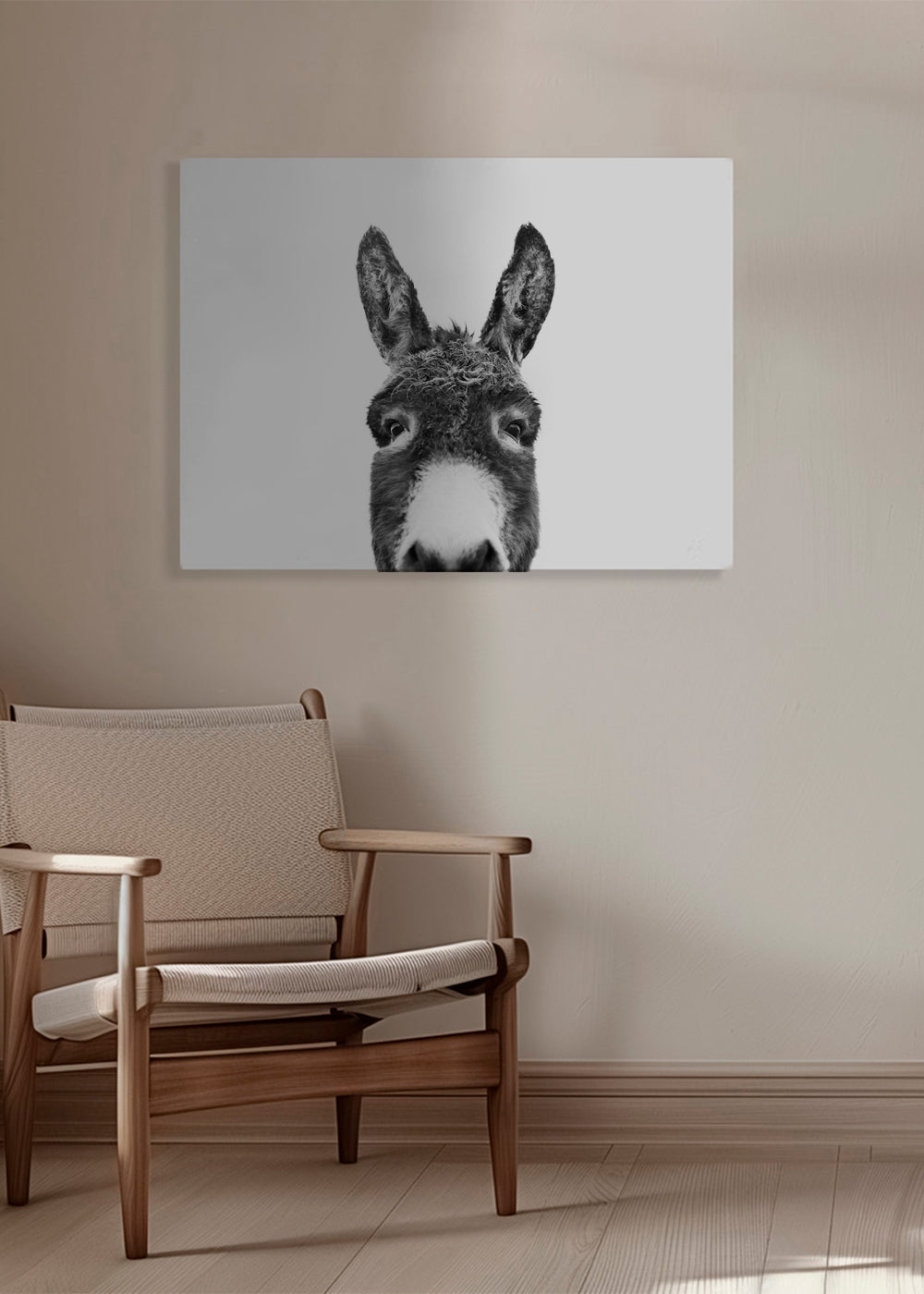 Hey donkey BW