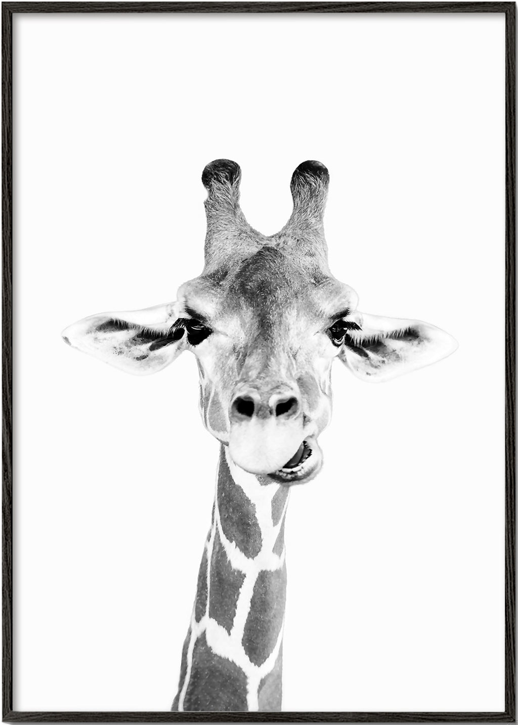 Quadro girafa preto e branco