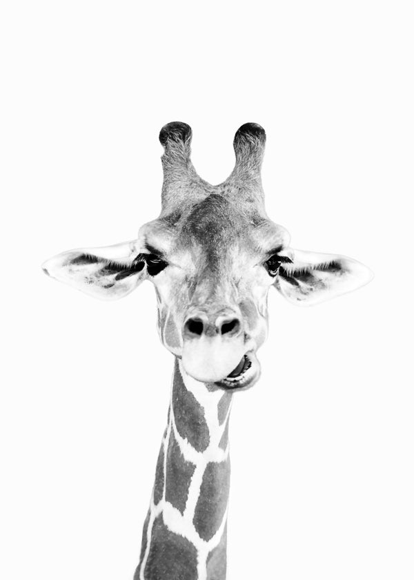 Quadro girafa preto e branco
