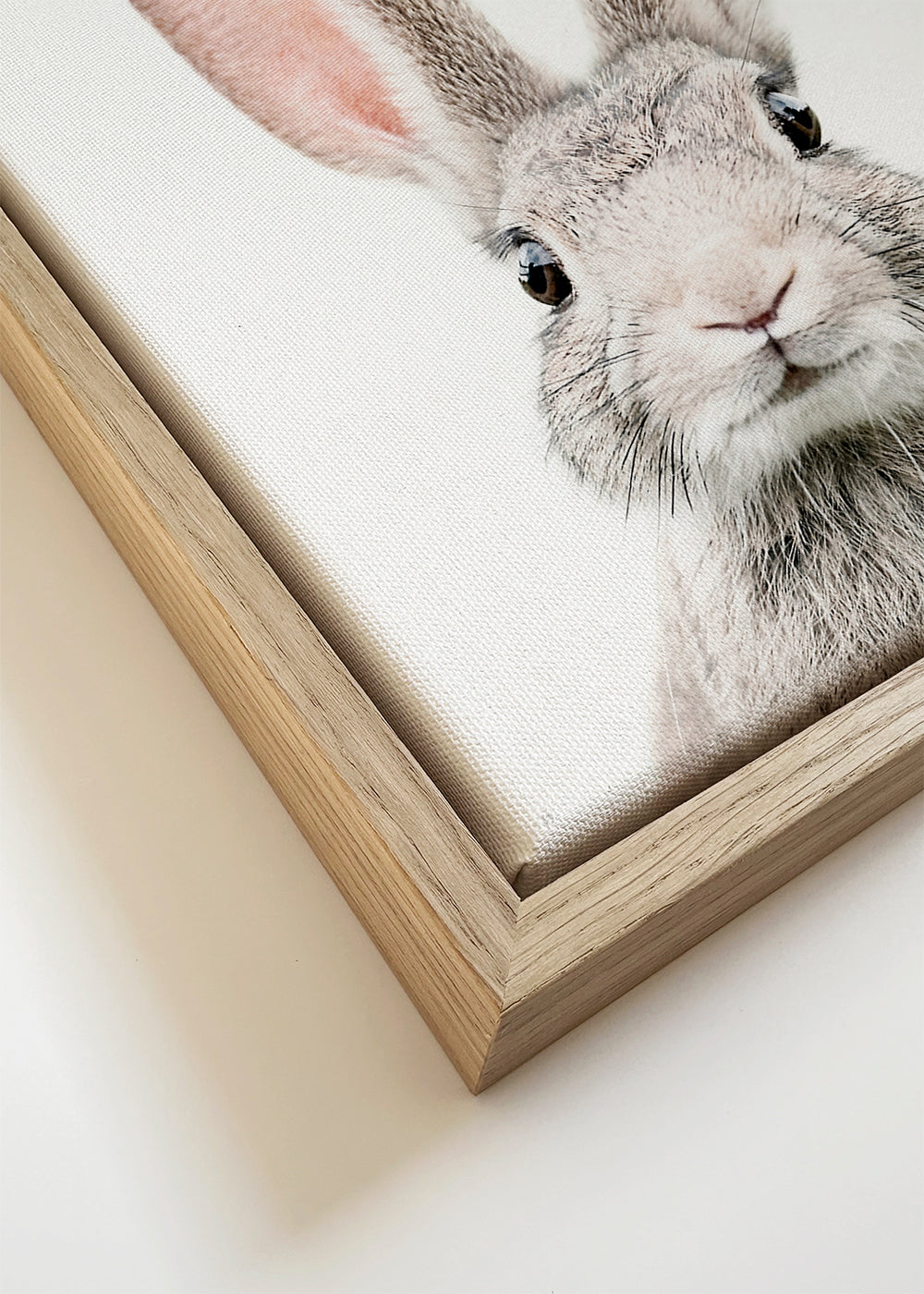 Quadro coelho minimalista em close