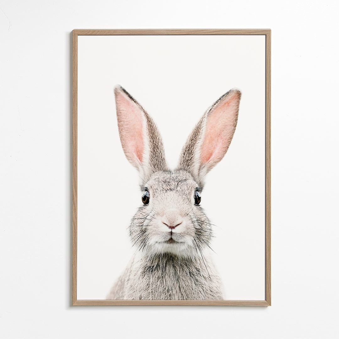 Bunny face