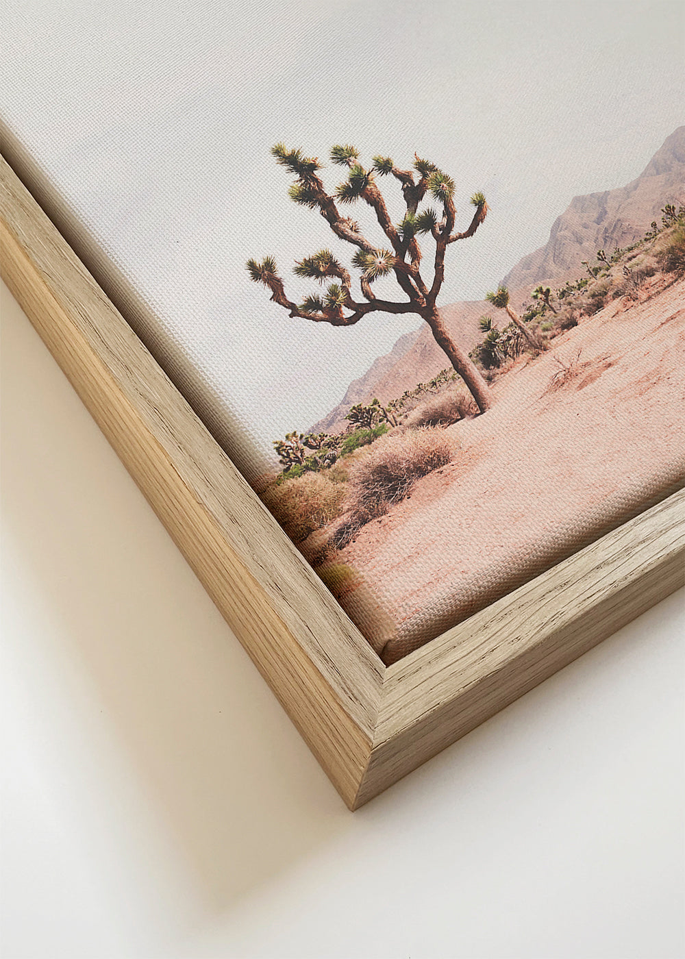 In the desert