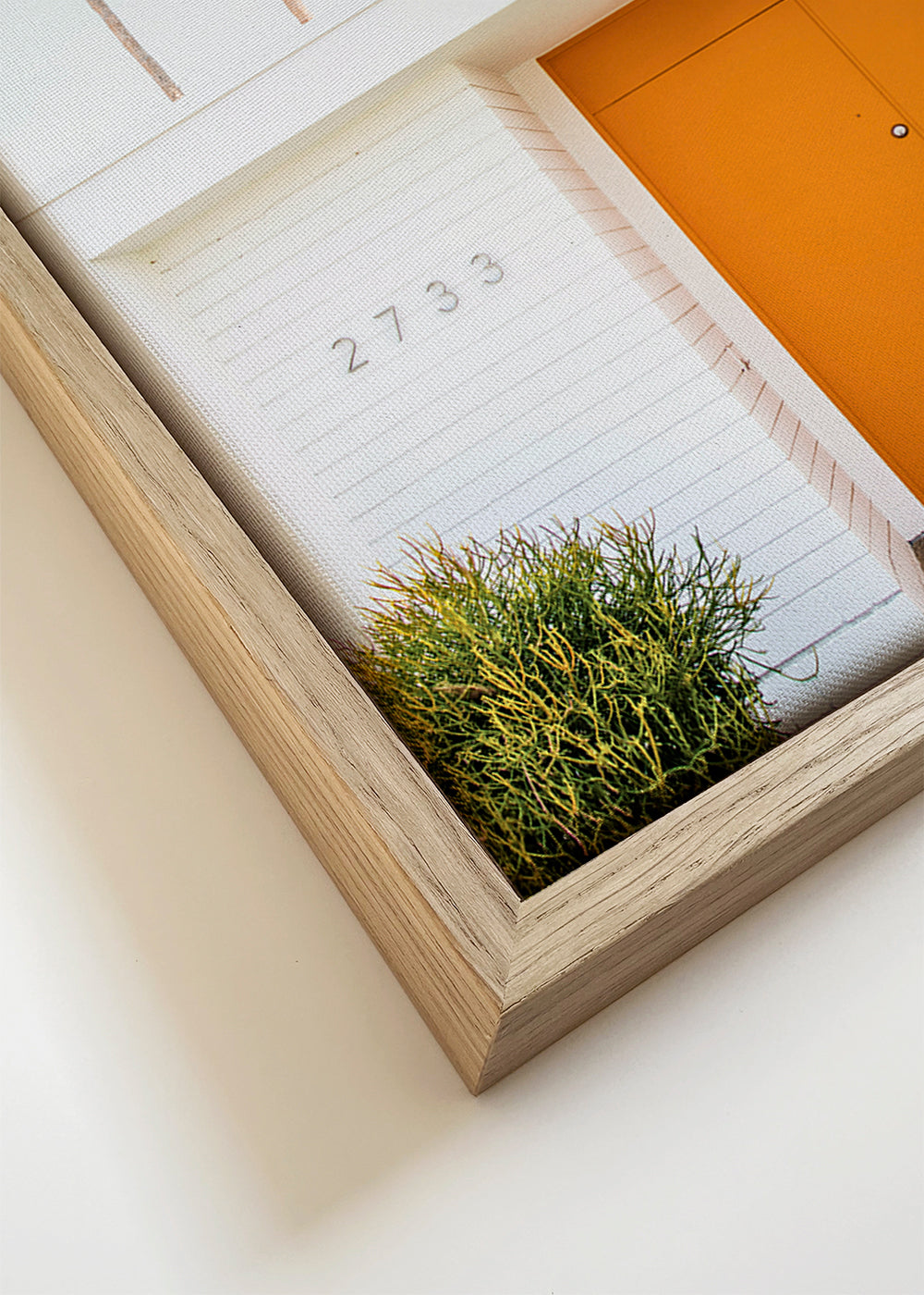 Fotografia minimalista: porta laranja e palme