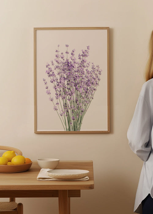 Estampa botânica: ramo de lavanda