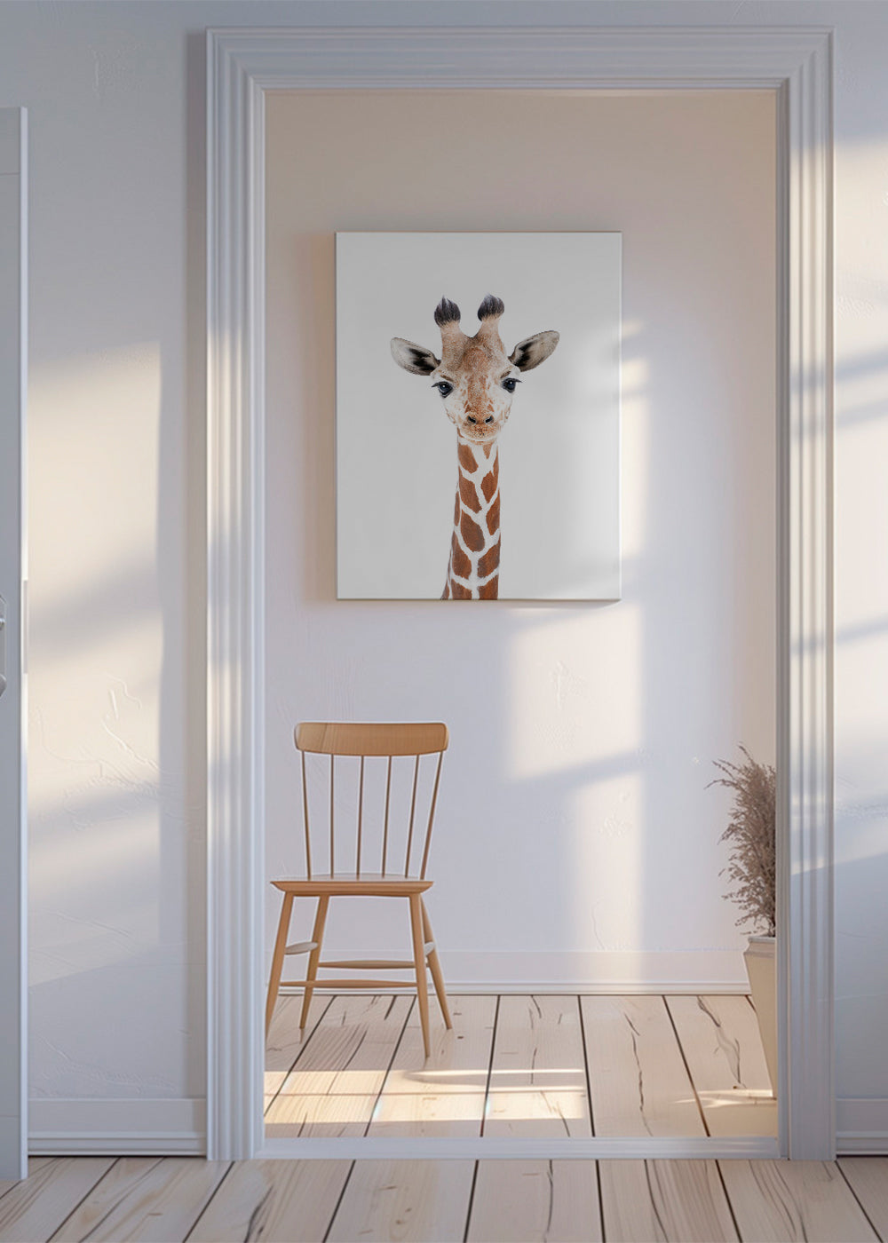 Baby Giraffe