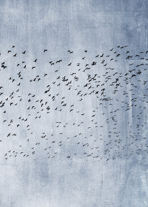 Arte abstrata: revoada de aves sobre textura azul