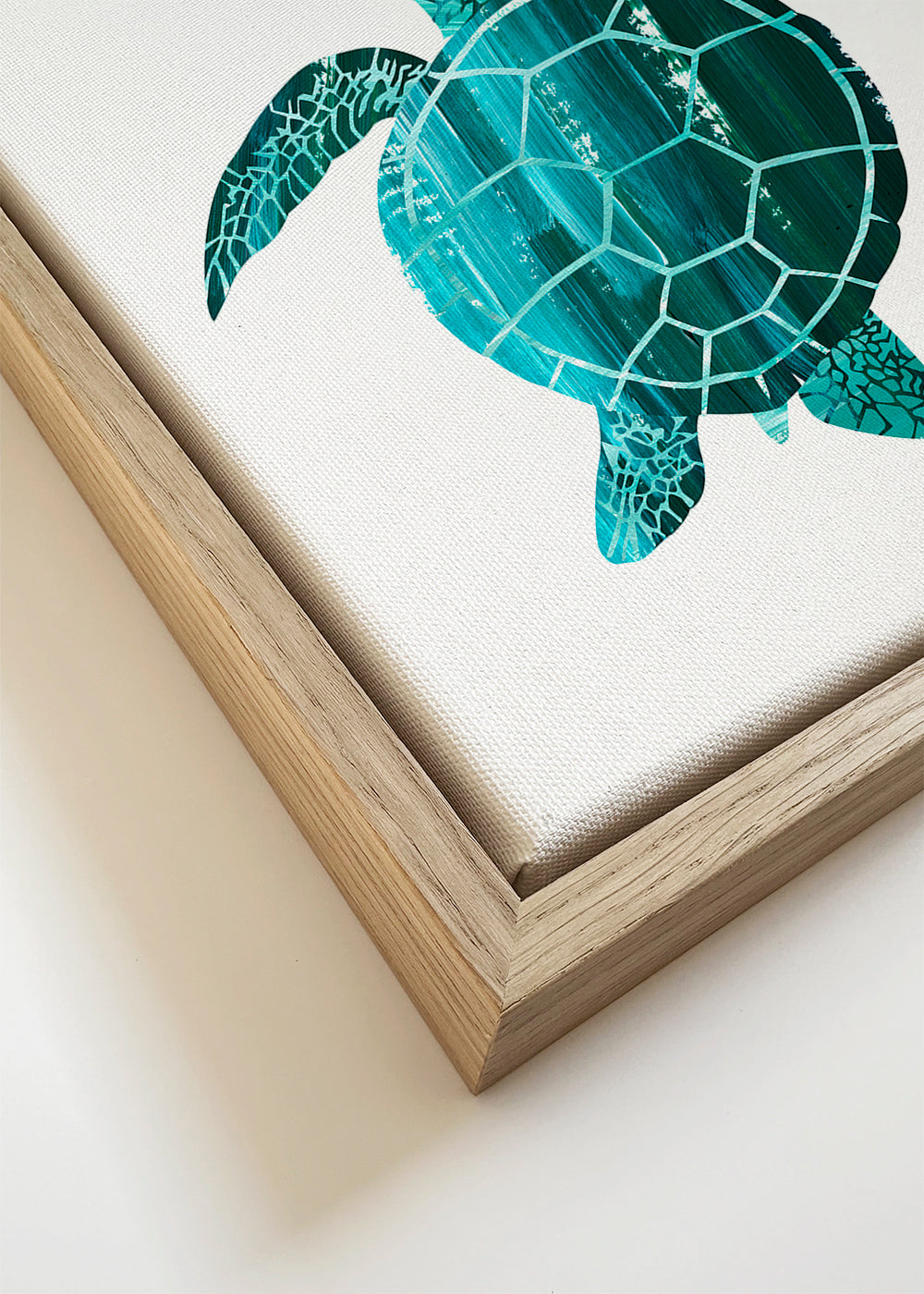 Ilustração de tartaruga marinha