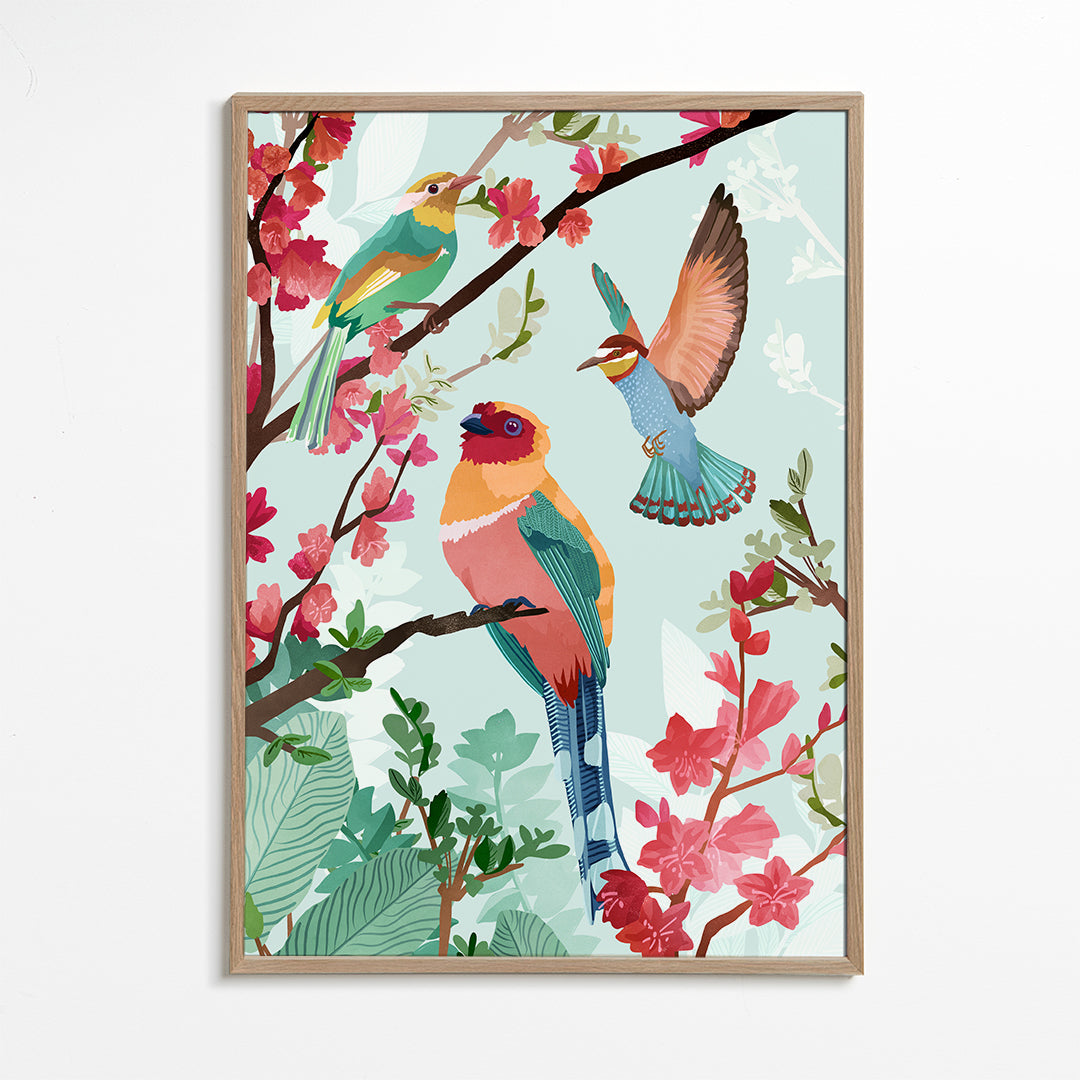Birds of summer