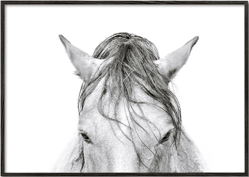 Obra cavalo close up