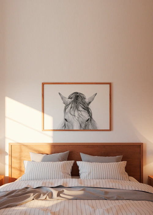 Obra cavalo close up