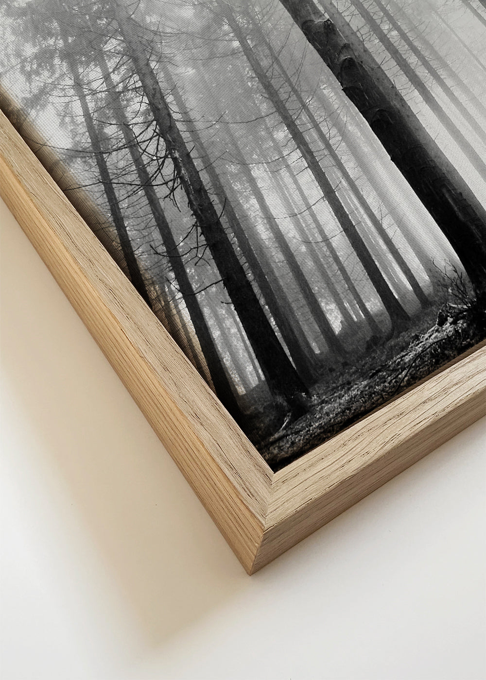 Arte para paisagem: floresta enevoada preto e branco