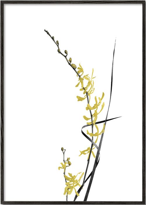 Estampa botânica: orquídea amarela minimal