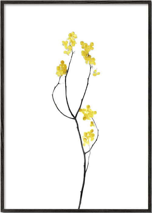 Estampa botânica ramo com flores amarelas