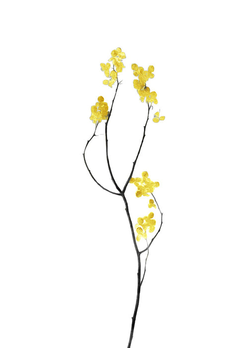 Estampa botânica ramo com flores amarelas