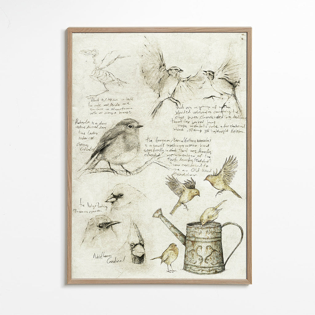 Birds