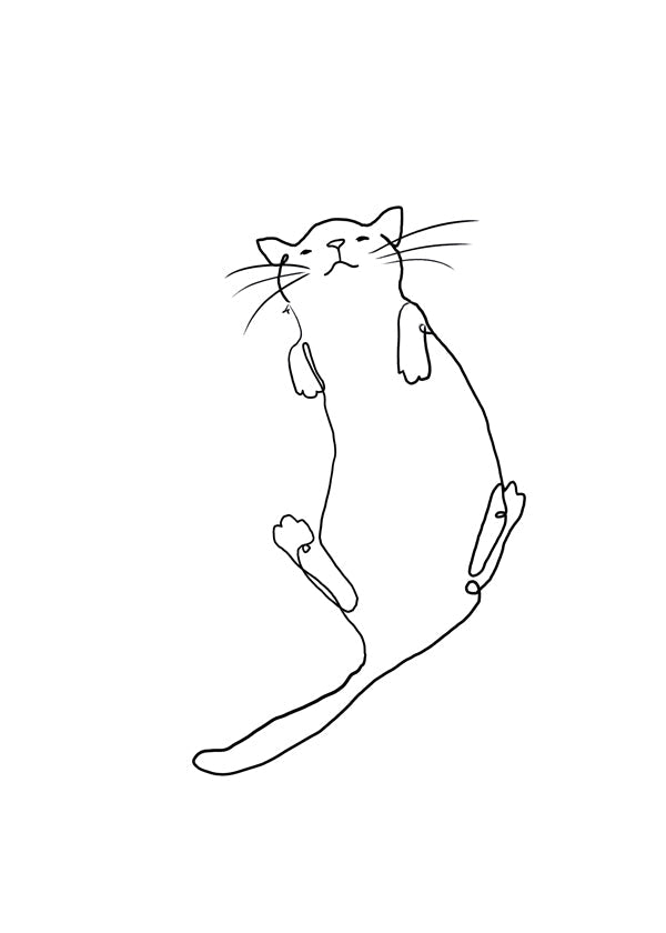 Cat Line No.2