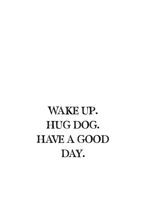 Quadro tipográfico minimalista: Wake Up Hug Dog
