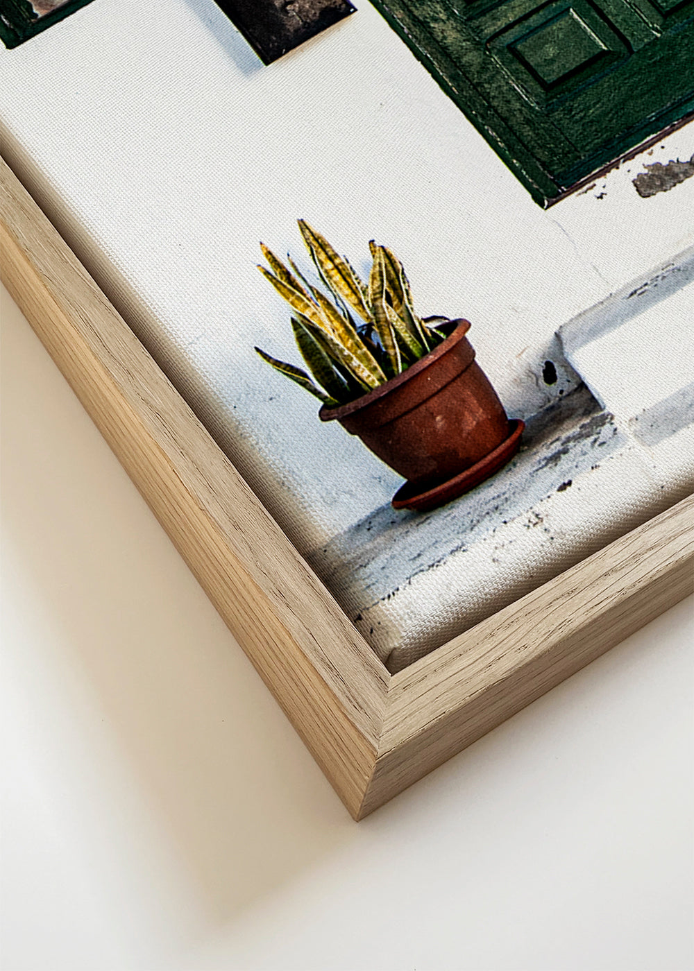 Fotografia de porta verde com vasos de plantas
