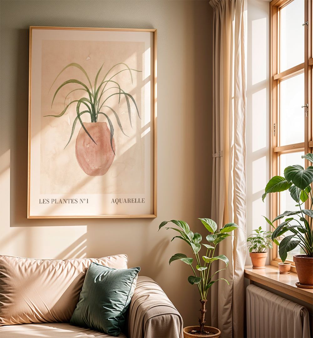 Les plantes Nº1