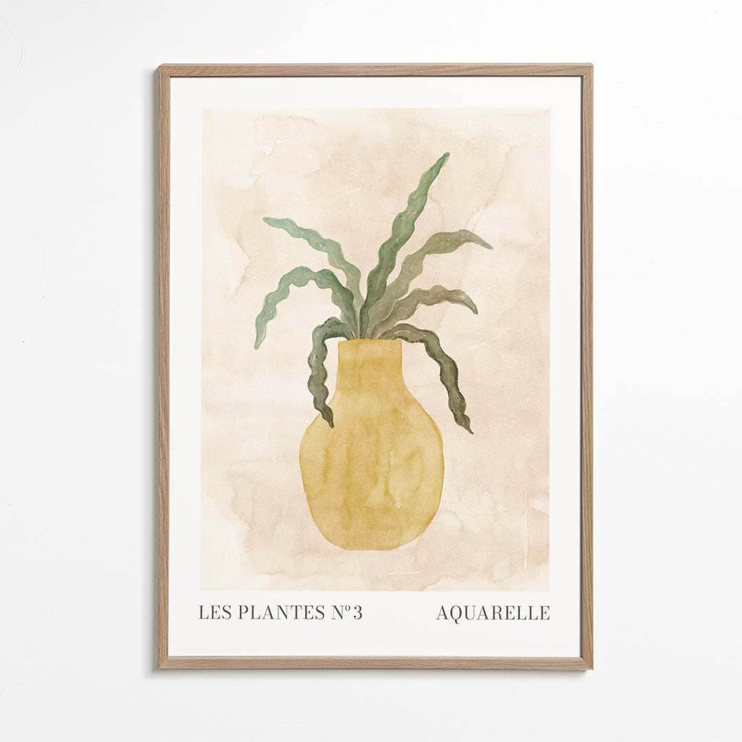 Les plantes Nº3