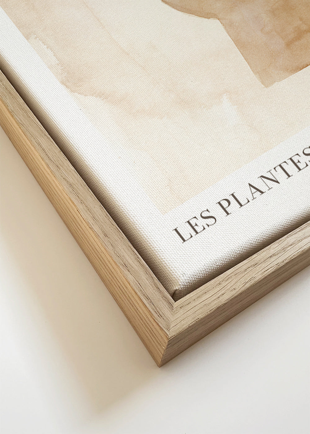 Les plantes Nº4