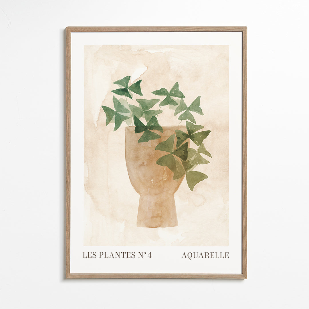 Les plantes Nº4