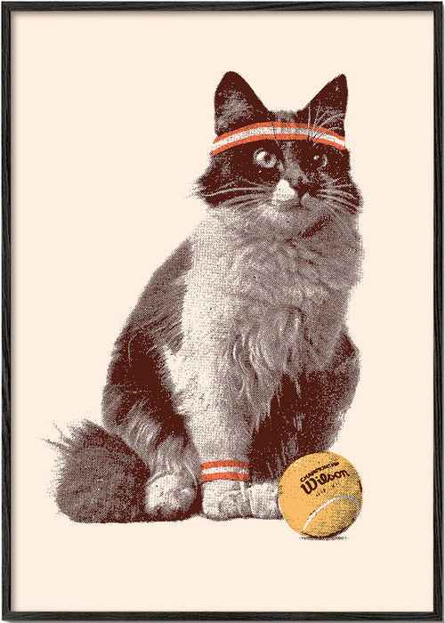 Gato com bola de tênis