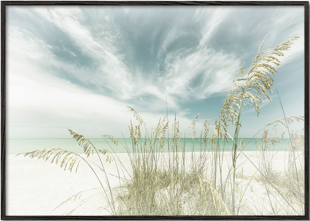 Quadro paisagem: praia serena com ervas costeiras