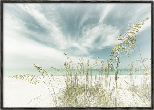 Quadro paisagem: praia serena com ervas costeiras