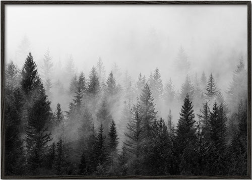 Arte em preto e branco: bosque enevoado panorâmico