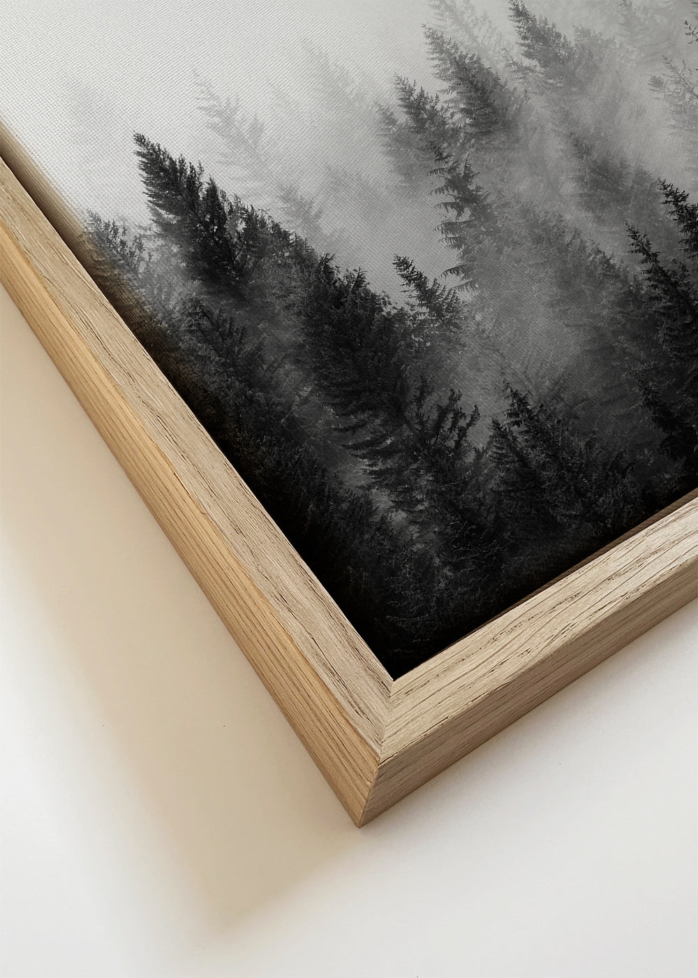 Arte em preto e branco: bosque enevoado panorâmico