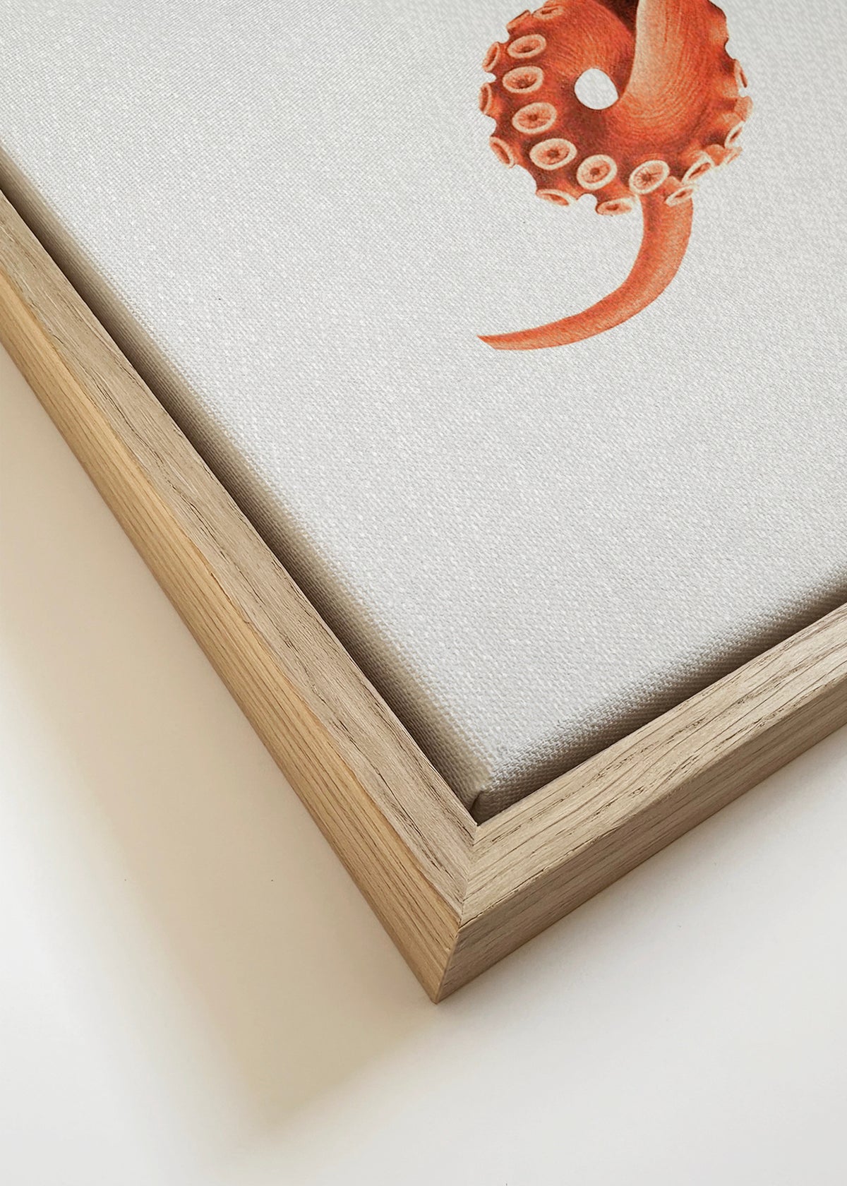Watercolor Octopus - Framed canvas detail
